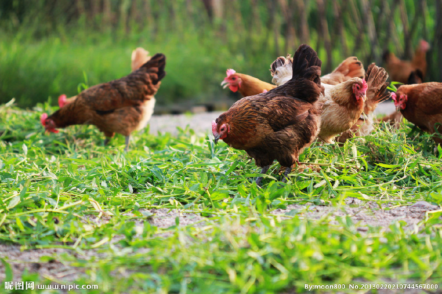 近期晝夜溫差較大，慢性呼吸道又開(kāi)始猖獗了！